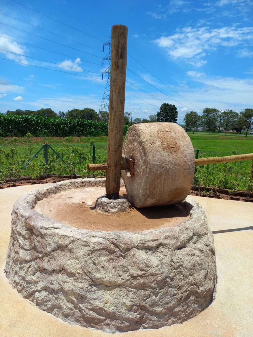 MAB - Museu de Arqueologia Bíblica - Jardim Bíblico